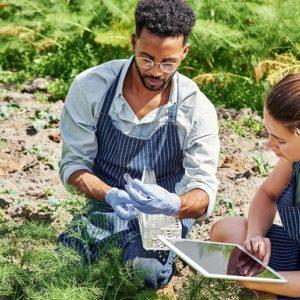 Distinguen a una startup argentina que evita la putrefacción de la fruta, ¿en qué consiste?