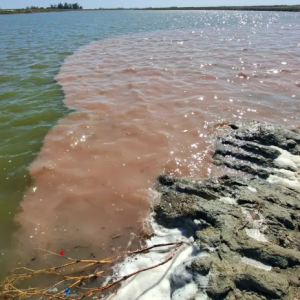 Una fotografía encendió las alarmas: apuntan a dos industrias por la contaminación del Río Salado