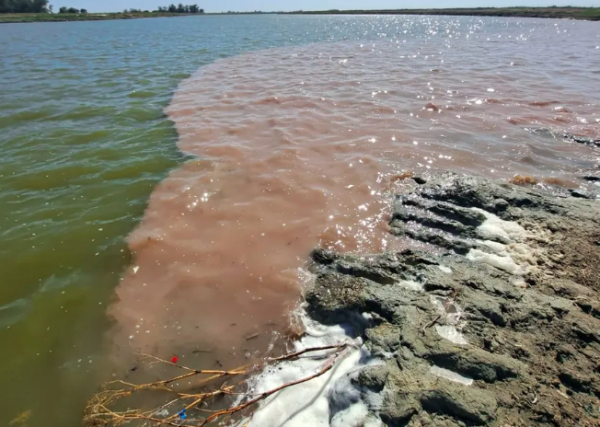 Una fotografía encendió las alarmas: apuntan a dos industrias por la contaminación del Río Salado