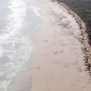 Cómo funciona la “autolimpieza” de la atmósfera marina y qué provoca en el cambio climático
