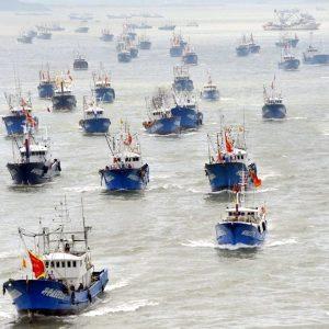 Detectaron que pesqueros chinos apagaron sus radares durante más de 600 mil horas para depredar aguas argentinas