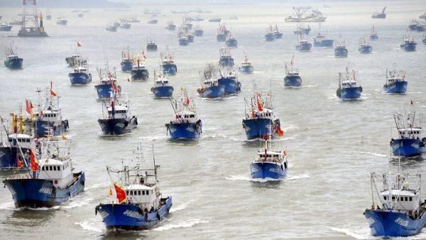 Detectaron que pesqueros chinos apagaron sus radares durante más de 600 mil horas para depredar aguas argentinas