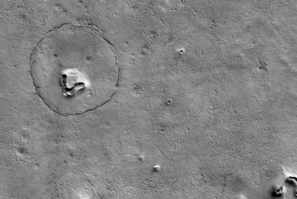 La NASA descubrió un «oso» en la superficie de Marte