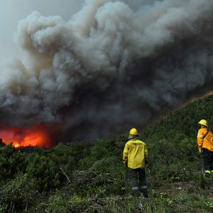 Ambiente aseguró que renovó contratos de 450 brigadistas para combatir incendios forestales