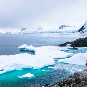 Qué papel juega la Antártida en el equilibrio del planeta