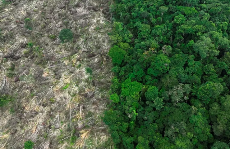 Más de un tercio de la Amazonía degradada por la actividad humana, ¿qué hará Lula contra la deforestación?