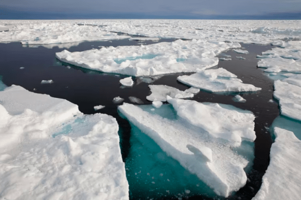 Ártico: por qué las tormentas son más frecuentes y dificultan la recuperación del hielo marino