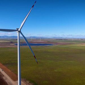 Así Dow busca duplicar el uso de energía eólica en su planta de Bahía Blanca