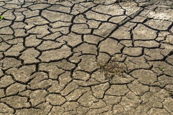 Cómo impactan las altas temperaturas en Argentina por el cambio climático en la sequía