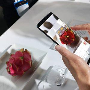 Utilizan inteligencia artificial para predecir el «quinto sabor» en las comidas, ¿de qué se trata?