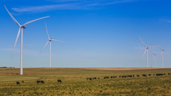 Vista busca abastecer su operación en Vaca Muerta con un 60% de energías renovables