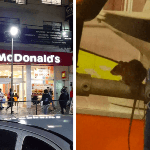 Video: un cliente mostró que hay ratas en el McDonald’s de Quilmes, en el sector de juegos para niños