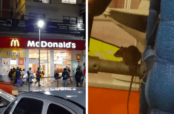 Video: un cliente mostró que hay ratas en el McDonald’s de Quilmes, en el sector de juegos para niños