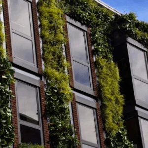 El Gobierno nacional anunció un programa para promover los “edificios sostenibles”