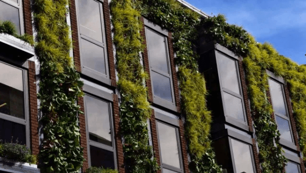 El Gobierno nacional anunció un programa para promover los “edificios sostenibles”