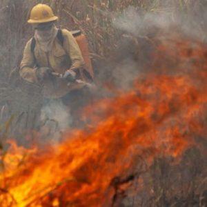 FAO instó a priorizar la prevención de incendios forestales en América Latina