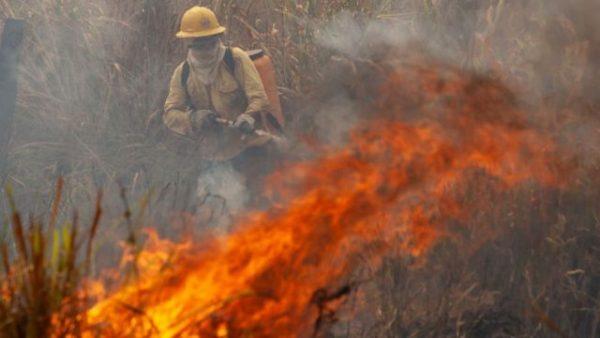 FAO instó a priorizar la prevención de incendios forestales en América Latina