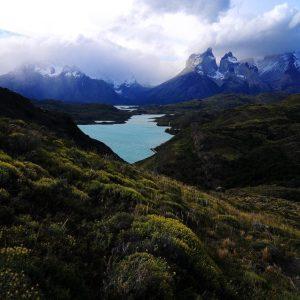 Una importante empresaria donó más de 90 mil hectáreas a Chile: qué planean crear en la Patagonia