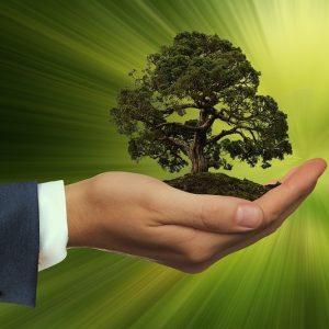 ¿Cómo pueden los brokers online reducir el impacto ambiental de la criptominería?