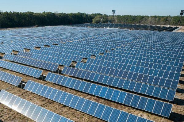 Histórico: por prima vez este año el mundo invertirá más en energía solar que en petróleo