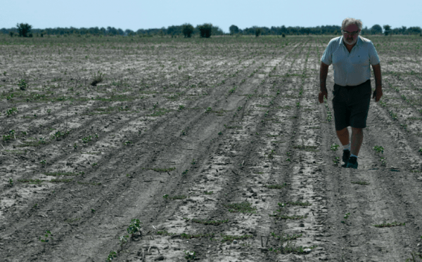Estiman que las sequías repentinas serán cada vez más frecuentes, ¿cuál es el impacto en la Argentina?