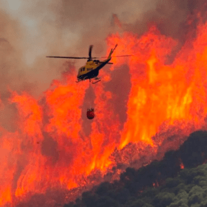 Un reconocido científico afirmó que la bioingeniería ayuda a fomentar un bosque más resistente a los incendios