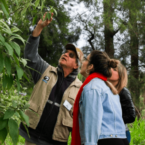 Ambientalistas denunciaron la tala de árboles en la Reserva Ecológica por un Plan de Obras de Mejora