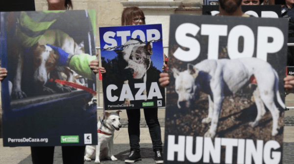 Activistas mostraron imágenes de maltrato de perros de cacería para concientizar