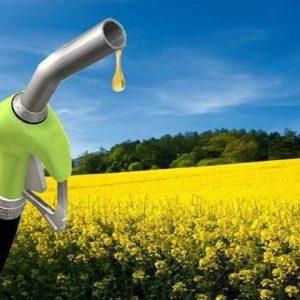 Electrocombustibles: qué son y por qué se presentan como una alternativa más sustentable