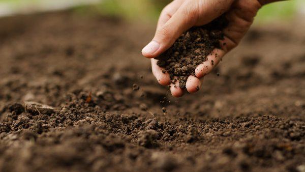 Un estudio determinó que los suelos argentinos almacenan carbono mundial y contribuyen a mitigar el cambio climático
