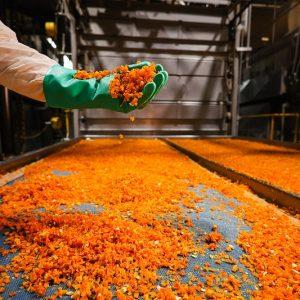 Así funciona la planta más grande de vegetales deshidratados de la Argentina
