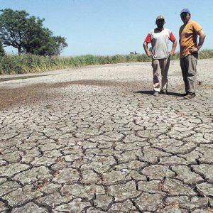 “Reducción significativa del PBI”: la contundente advertencia del FMI sobre el cambio climático