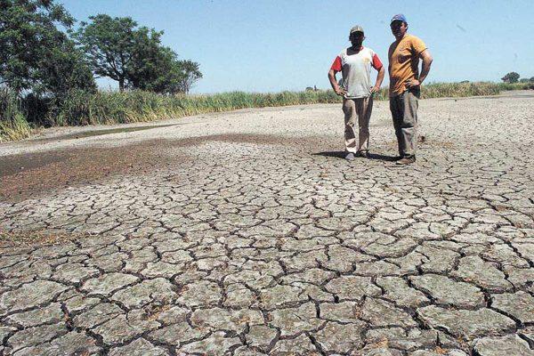 El “desastre climático” frena inversiones en el sector agropecuario