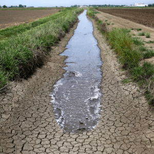 Hace una semana que sale agua salada de los grifos, ¿qué pasa en Uruguay?