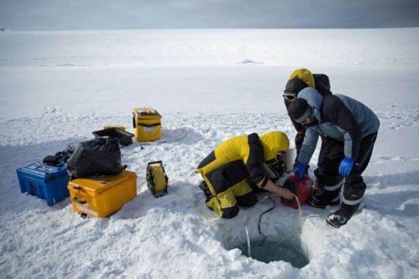 Investigadores de la UNLP realizan hallazgo en la Antártida para hacer más eficiente el Ibuprofeno