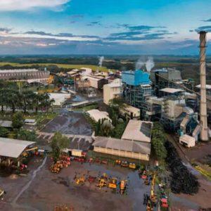 Contaminación ambiental: condenan a dos empresarios azucareros en Tucumán