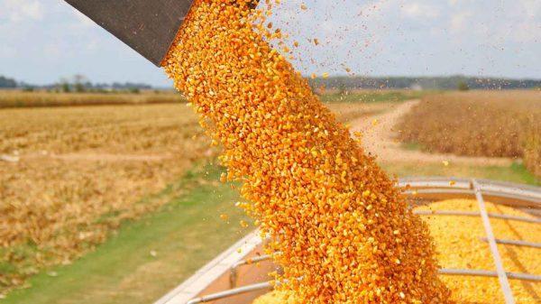 BID anunció acuerdo con Molinos agro para fortalecer las exportaciones de la compañía
