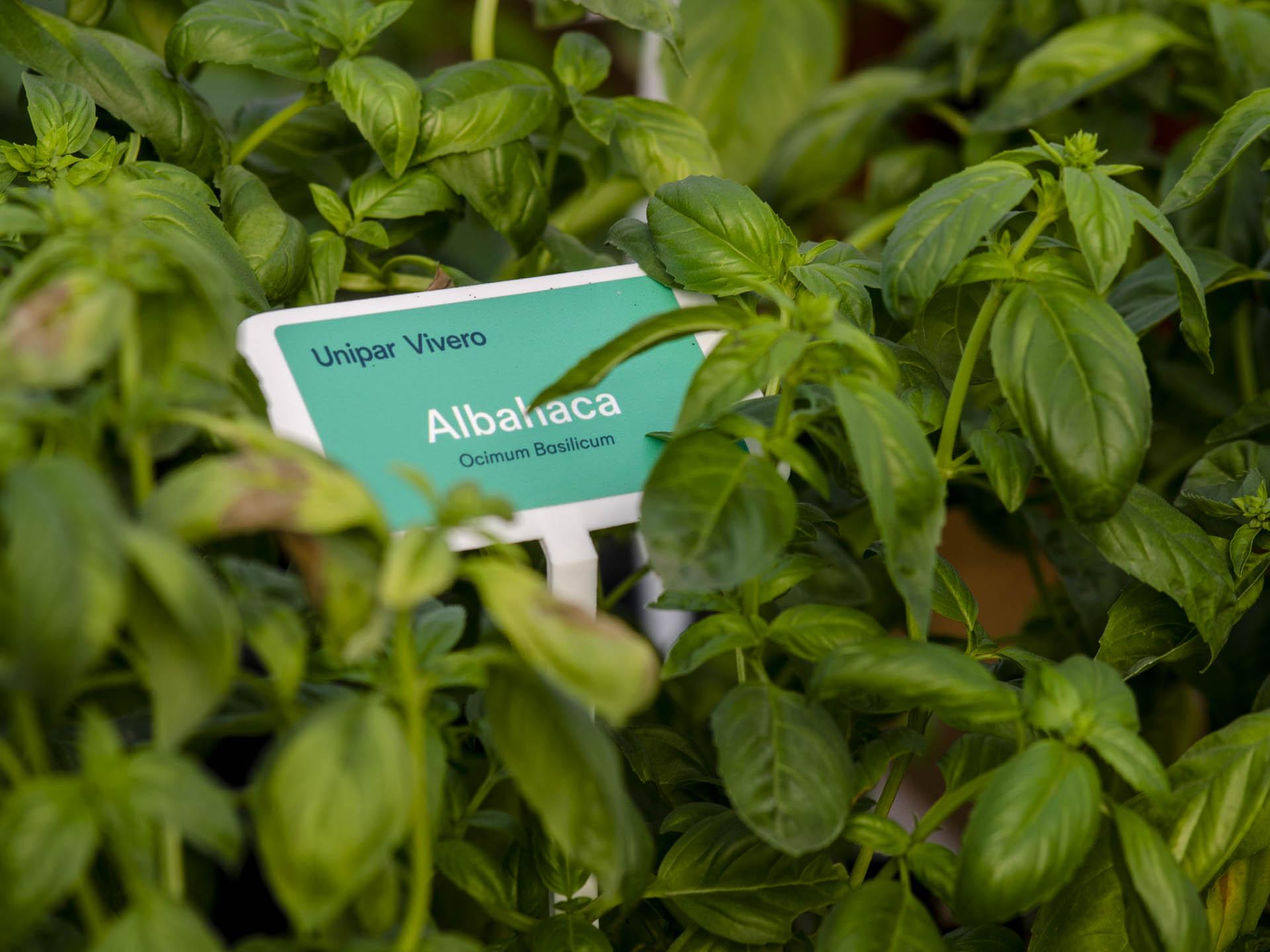 Invierten U s 150 000 Para Crear Un Vivero Para Contribuir Con 