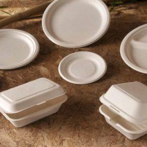 Esta empresa invierte u$s 5 millones para crear vajilla descartable a base de caña de azúcar