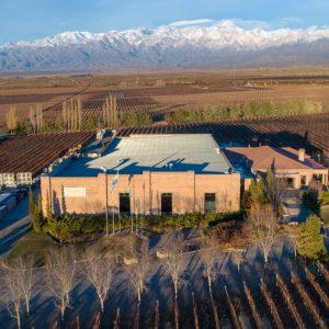 Una importante bodega sacó su primer vino 100% orgánico, ¿cómo lo hizo?