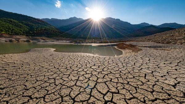 Día Mundial de Lucha contra la Desertificación y la Sequía: ¿Cómo batallar contra esta problemática en Latinoamérica?