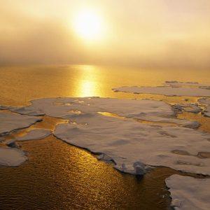 La superficie de la Tierra registró la temperatura media más alta hasta el momento