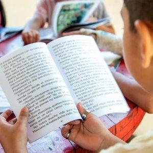 Grupo BGH y Fundación Leer apuestan por la lectura en una provincia argentina