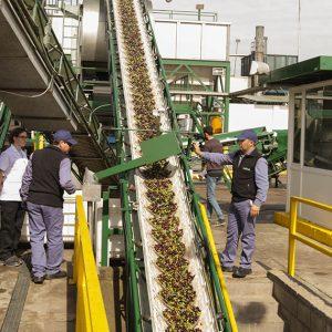 Los dueños de Oliovita invierten en nueva planta con tecnología sustentable y energías renovables