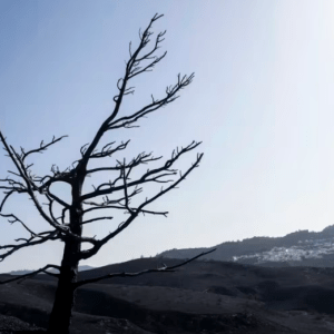 Por qué el cambio climático está cambiando la forma de soñar de las personas