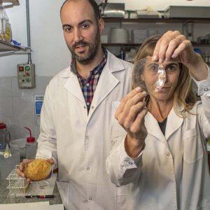 Científicos argentinos desarrollan envases inteligentes que detectan alimentos en mal estado