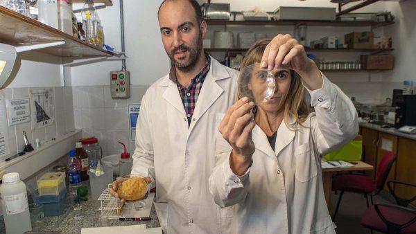Científicos argentinos desarrollan envases inteligentes que detectan alimentos en mal estado