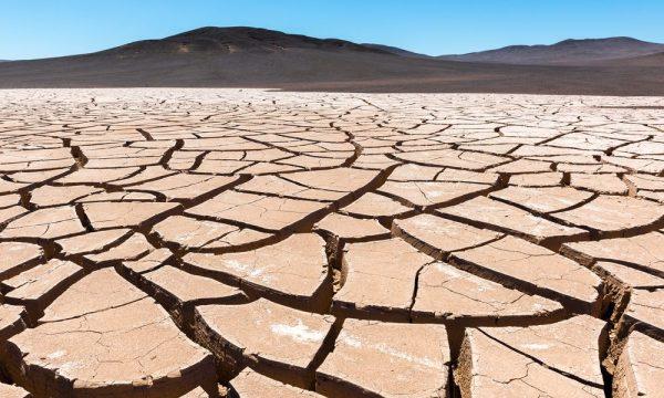 Qué es la desertificación de los suelos y cuáles son las consecuencias en Argentina