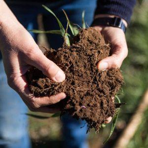 Qué es la agricultura regenerativa y cuáles son sus beneficios