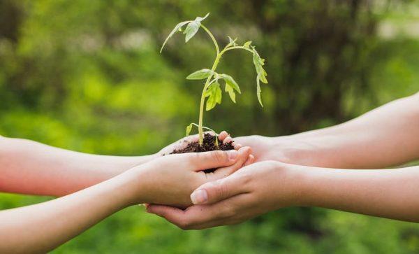 7 iniciativas corporativas para la sustentabilidad: cómo las empresas puede ser más amigables con el medioambiente